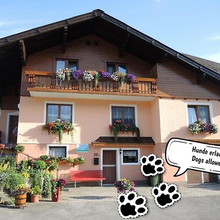 Appartement Am Hauser Kaibling Kültér fotó