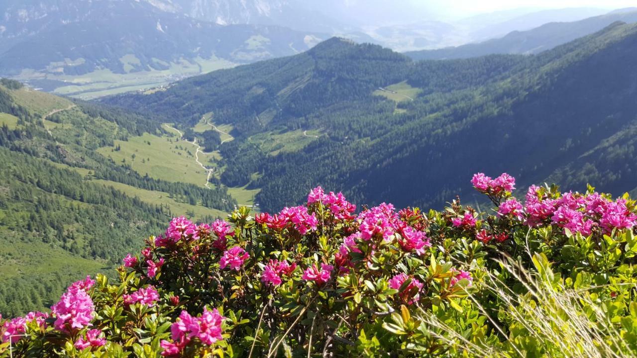 Appartement Am Hauser Kaibling Kültér fotó
